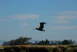 967 Salinas Rd - Photo 21