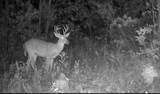 00 Almaden - Photo 13