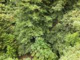 0 Pringle Ln - Photo 15