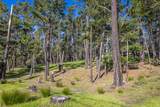 1401 Viscaino Rd - Photo 10