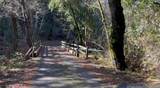 10 Garzas Trl - Photo 3
