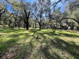 10 Garzas Trl - Photo 6