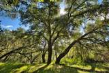 15805 Uvas Rd - Photo 13