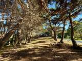 037022250 Carlos - Photo 2