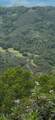 0 O Uvas Road - Photo 11