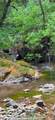 0 O Uvas Road - Photo 6