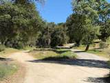109 Trampa Canyon Road - Photo 5