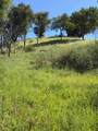 109 Trampa Canyon Road - Photo 8