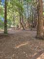 Lot 58 Skyview Ridge Rd - Photo 57