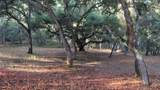 9 Garzas (Lot 49) Trl - Photo 4