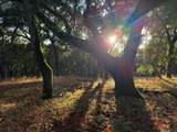 9 Garzas (Lot 49) Trl - Photo 5