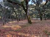 9 Garzas (Lot 49) Trl - Photo 6