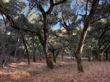 9 Garzas (Lot 49) Trl - Photo 7