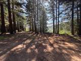 7175 Redwood Retreat - Photo 2