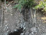 35500 Loma Chiquita Rd - Photo 11