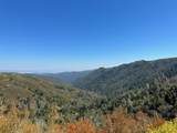 35500 Loma Chiquita Rd - Photo 12