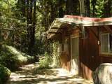 7150 Croy Rd - Photo 4