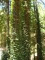 7150 Croy Rd - Photo 41