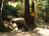 7150 Croy Rd - Photo 42