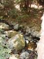 7150 Croy Rd - Photo 44