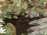 7150 Croy Rd - Photo 46