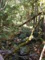 7150 Croy Rd - Photo 49