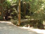7150 Croy Rd - Photo 52