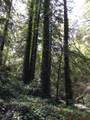 7150 Croy Rd - Photo 57
