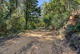 00000 Page Mill Rd - Photo 10