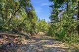 00000 Page Mill Rd - Photo 11