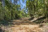00000 Page Mill Rd - Photo 12