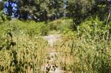 0 Chelsey Pl - Photo 34