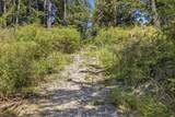 0 Chelsey Pl - Photo 41