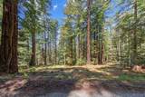 0000 Native Sons Rd - Photo 14