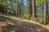 0000 Native Sons Rd - Photo 16