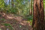 0000 Native Sons Rd - Photo 17