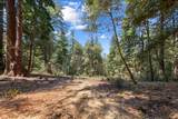0000 Native Sons Rd - Photo 3