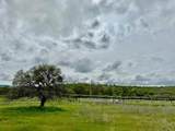 159 Albright Ct - Photo 19