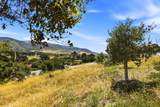 4215 Marguerita Way - Photo 9
