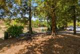 872 Catkin Ct - Photo 49