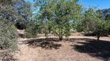 11705 Foothill Ave - Photo 77