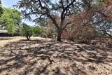 11705 Foothill Ave - Photo 92