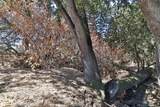 11705 Foothill Ave - Photo 93