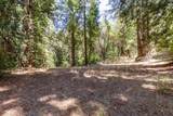 24343 Mountain Charlie Rd - Photo 40