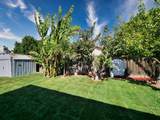 32501 Shiela Way - Photo 27