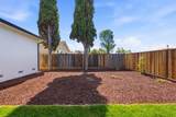 1951 Treewood Ln - Photo 32
