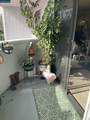 2791 Mcbride Ln 161 - Photo 24