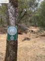 18891 Tanglewood Hollow Way - Photo 13