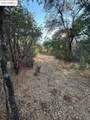 18891 Tanglewood Hollow Way - Photo 14