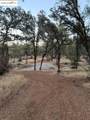 18891 Tanglewood Hollow Way - Photo 15